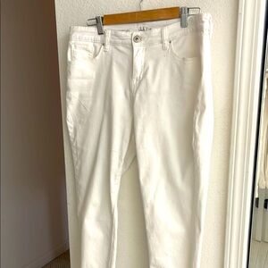 Style & Co Curvy Petite Jeans